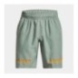 Under Armour Short Woven Graphic