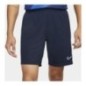 Nike Short Dri-Fit Acd21 K