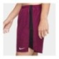 Nike Short Dri-fit Challenger 7Bf