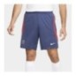 Nike Short PSG Dri-fit