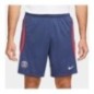 Nike Short PSG Dri-fit