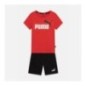 Puma Kit Minicats