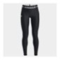 Under Armour Legging Armour