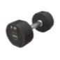 Body Sculpture Gym Dumbels Tpu 10Kg