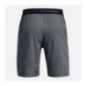 Under Armour Short Vanish