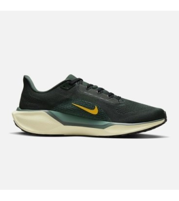 Nike Chaussures Air Zoom Pegasus 41