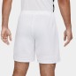 Nike Short Acd21 K